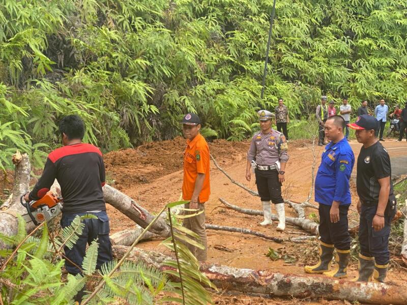 WhatsApp-Image-2024-05-17-at-20.34.09