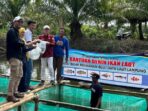 bibit ikan kakap putih dari lampung Desa Kungkai Seluma Mendapat Bantuan Bibit Ikan Kakap Putih. Foto: em